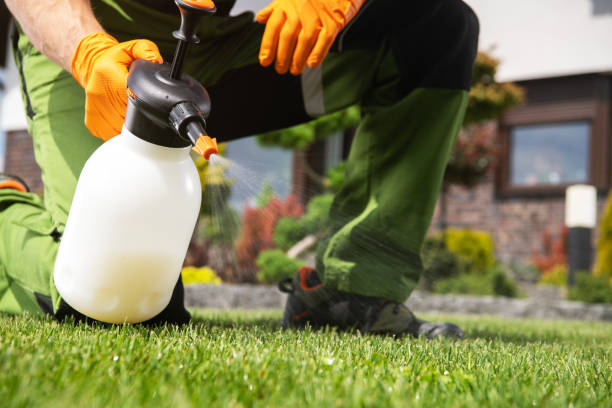 Best Pest Inspection Near Me  in Timberville, VA