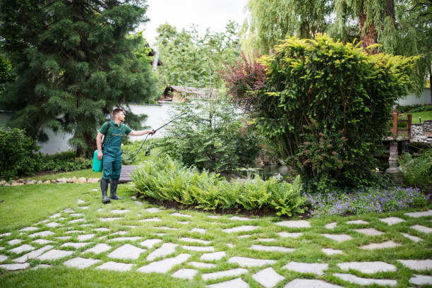 Best Pest Prevention Services  in Timberville, VA