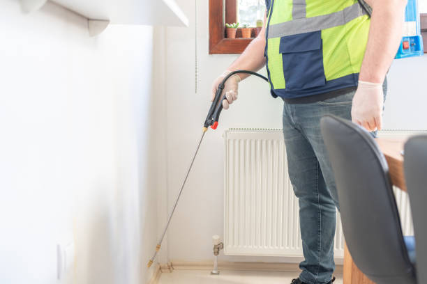 Best Affordable Pest Control Services  in Timberville, VA