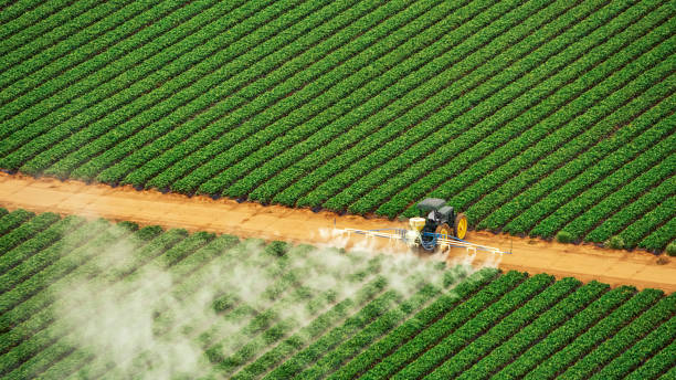 Best Affordable Exterminators  in Timberville, VA