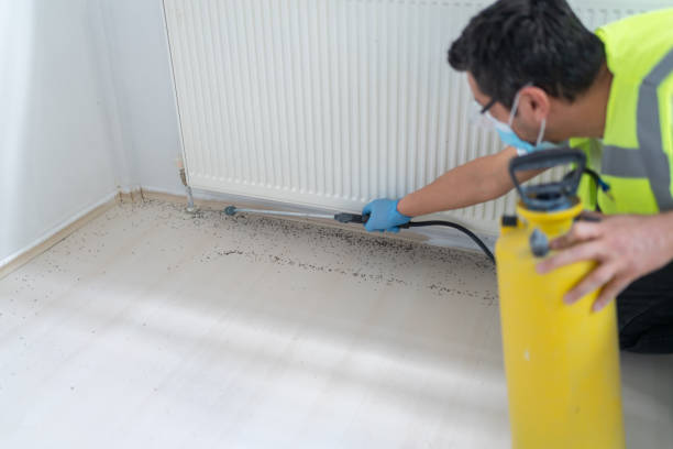 Best Pest Removal Services  in Timberville, VA