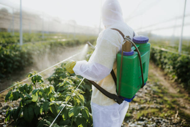Best Exterminator Services  in Timberville, VA